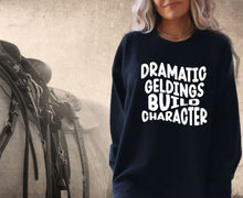 Load image into Gallery viewer, Funny Horse Lover Crewneck Sweatshirt - Dramatic Geldings Build Character