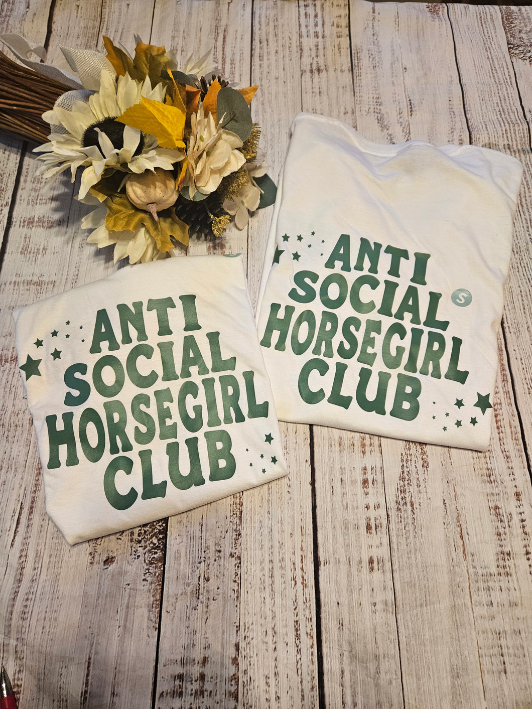 T-shirt Bundle Smalls- Anti- Social Horsegirl Tees