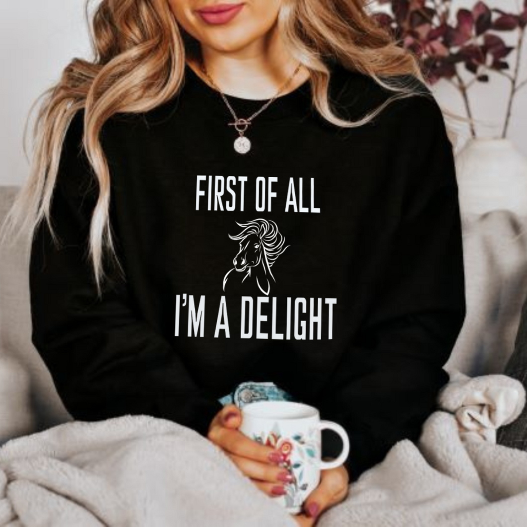 Funny Horse Lover Sweatshirt - First of All I'm a Delight