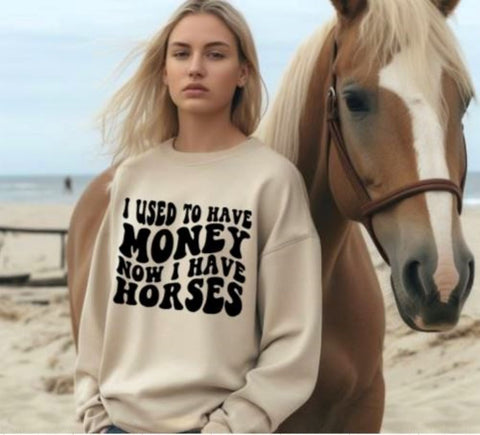 Horse Sweatshirt - Funny Horse Lover Gift - I Used to Have Money