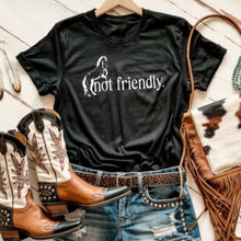 Load image into Gallery viewer, Funny Horse Lover Shirt - Not Friendly
